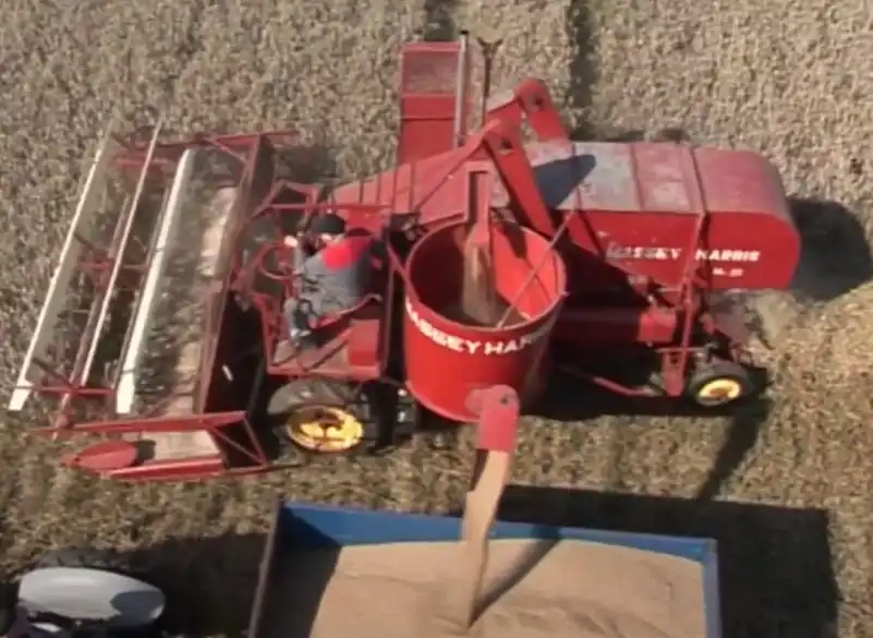 Kombajn Massey na polu