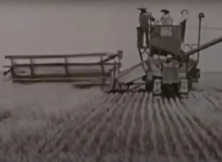 Kombajn ciągnięty przez ciągnik